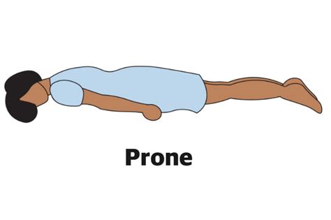 prone bone|How to master the Prone Bone sex position